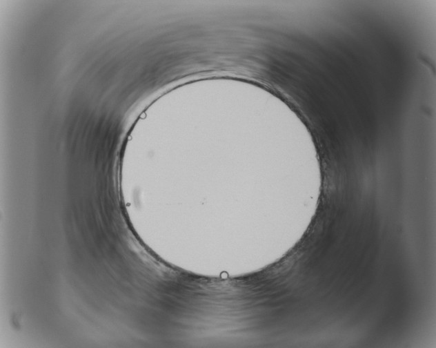 X0000103481516200810241026
