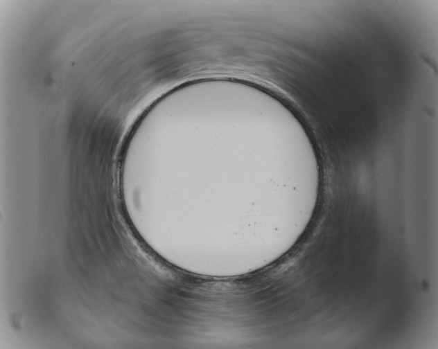 X0000103481517200810241026