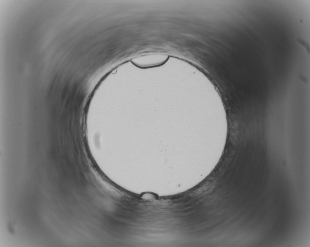 X0000103481519200810241026