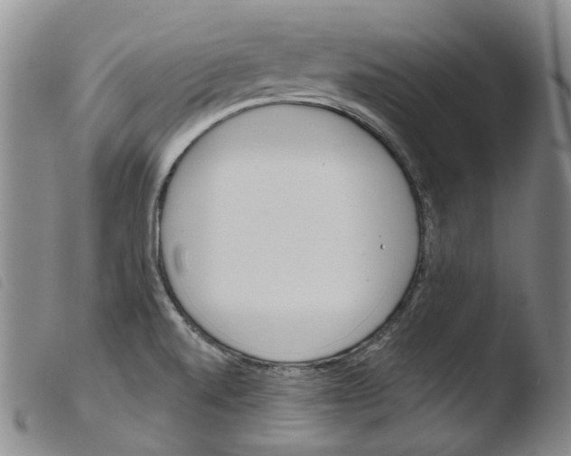 X0000103481520200810241026