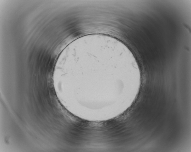 X0000103481521200810241026