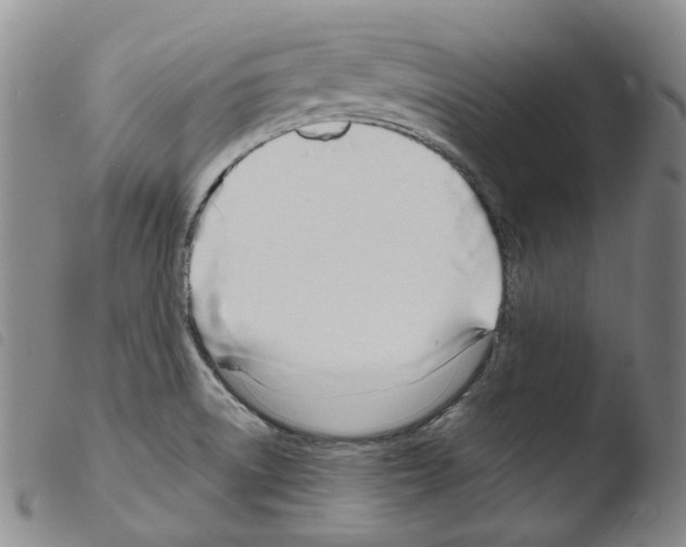X0000103481522200810241026