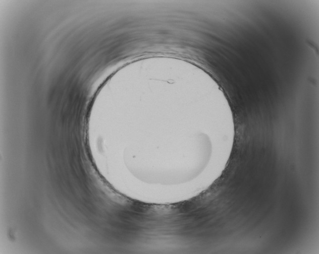 X0000103481523200810241026