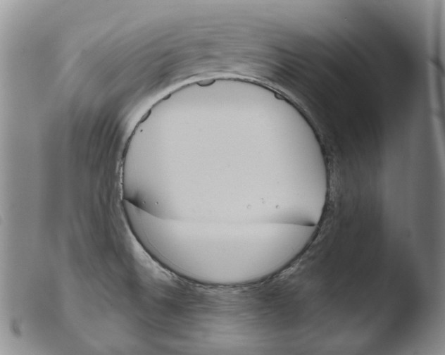 X0000103481524200810241026