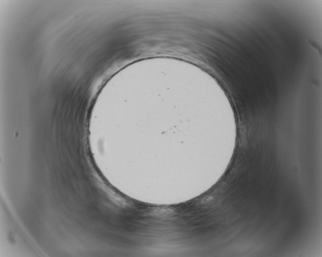 X0000103481525200810241026