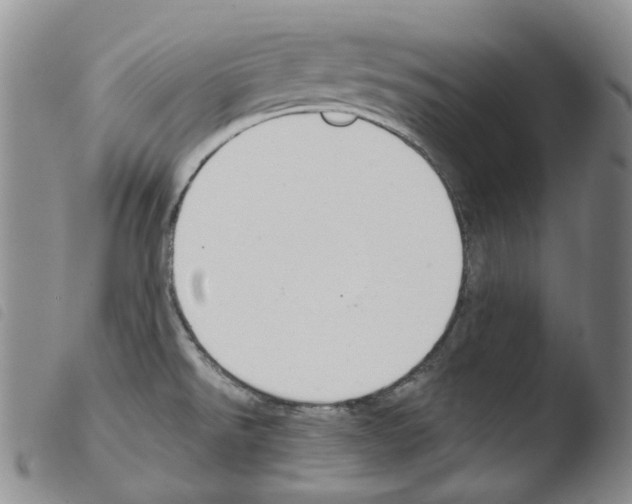 X0000103481526200810241026