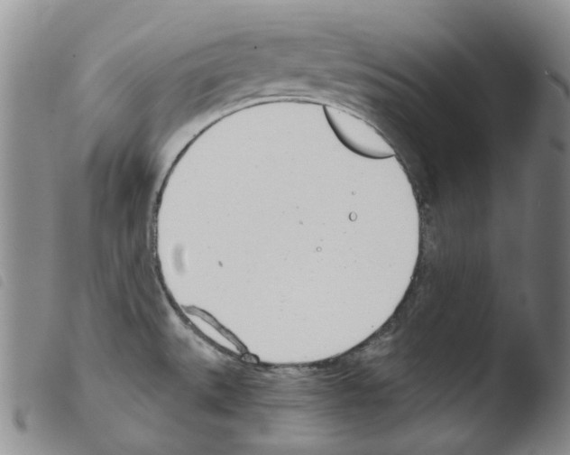 X0000103481527200810241026