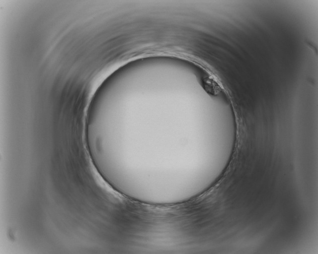 X0000103481528200810241026