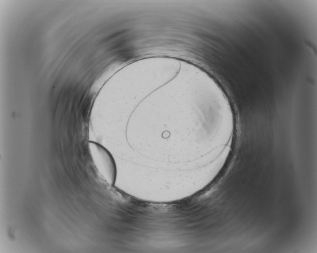 X0000103481529200810241026