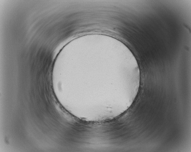 X0000103481530200810241026