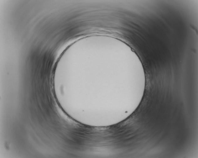 X0000103481531200810241026