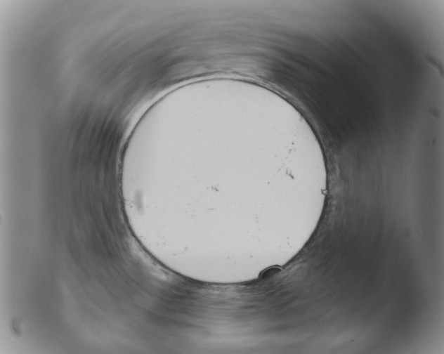X0000103481532200810241026