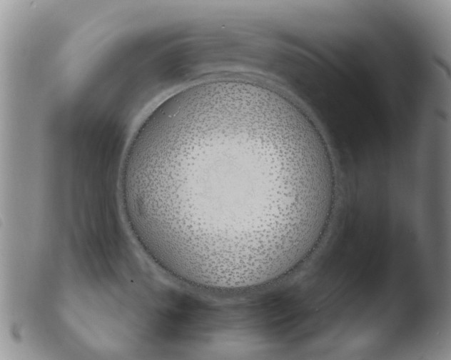 X0000103481533200810241026