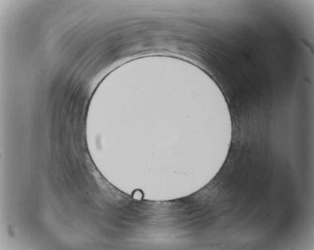 X0000103481534200810241026