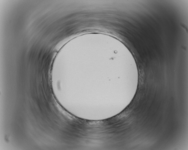 X0000103481535200810241026