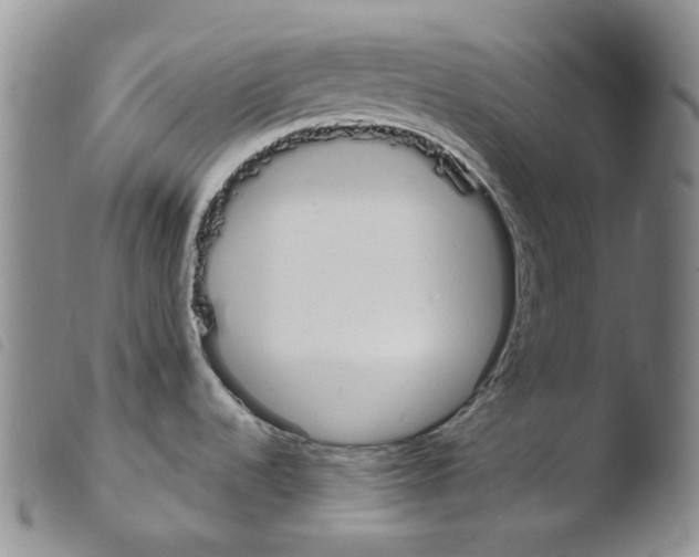 X0000103481536200810241026