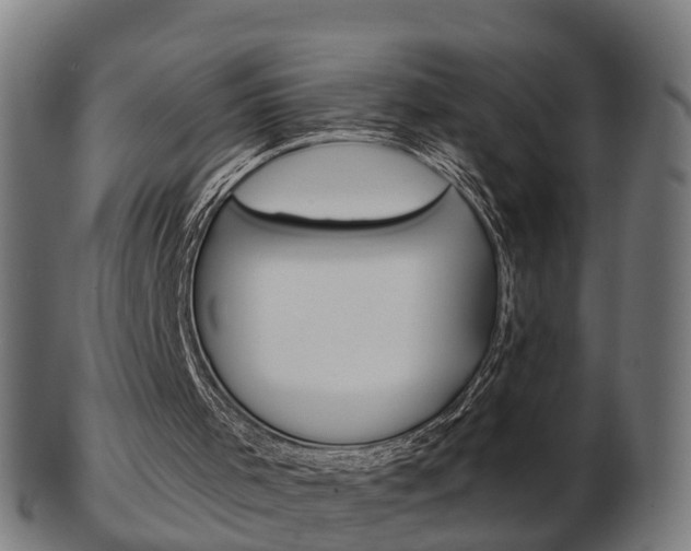 X0000103490001200809121000