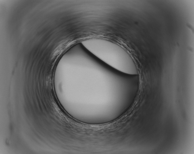 X0000103490002200809121000