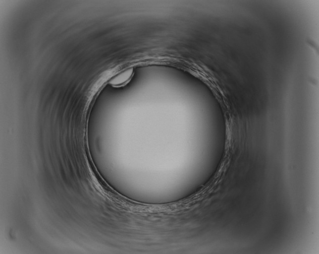 X0000103490003200809121000