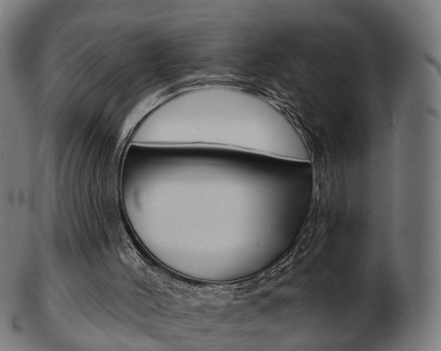 X0000103490004200809121000