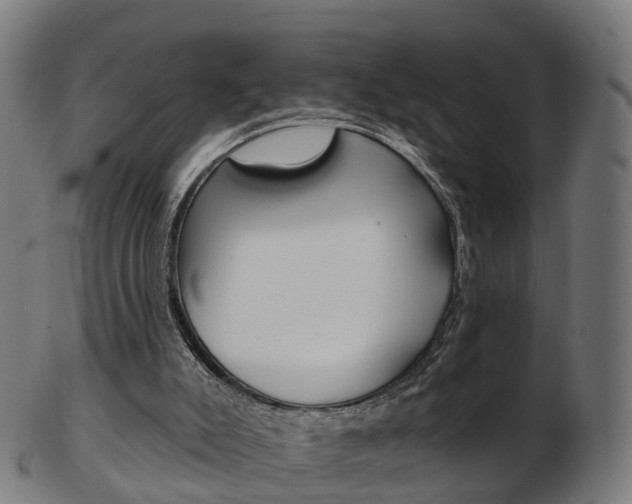 X0000103490007200809121000