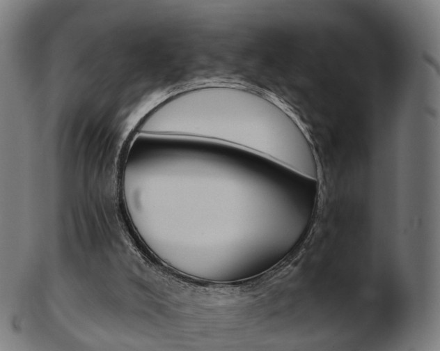 X0000103490008200809121000