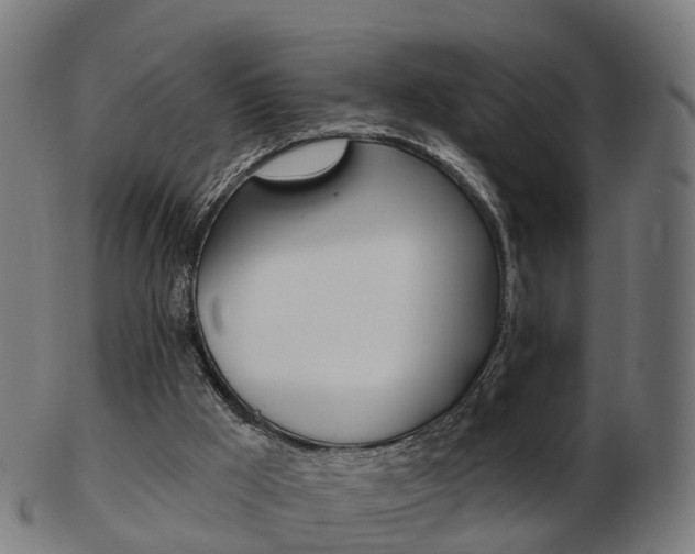 X0000103490009200809121000