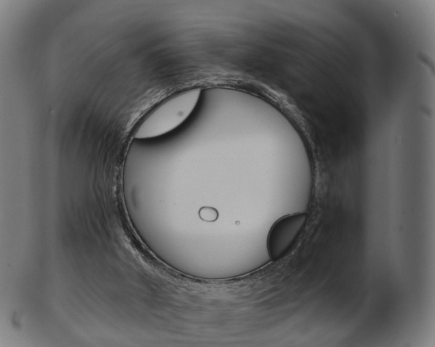 X0000103490010200809121000