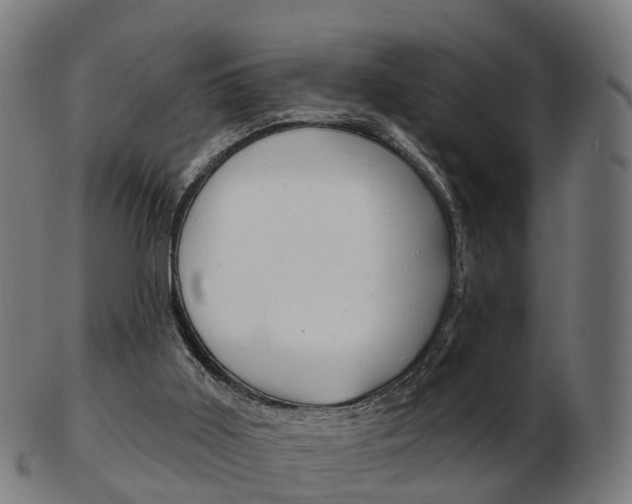 X0000103490011200809121000