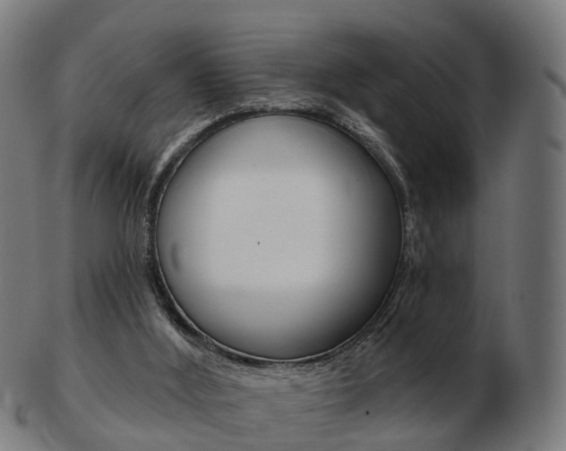 X0000103490012200809121000