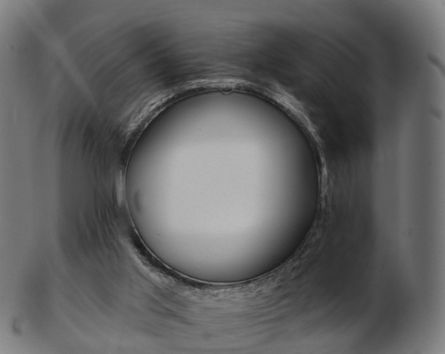 X0000103490013200809121000