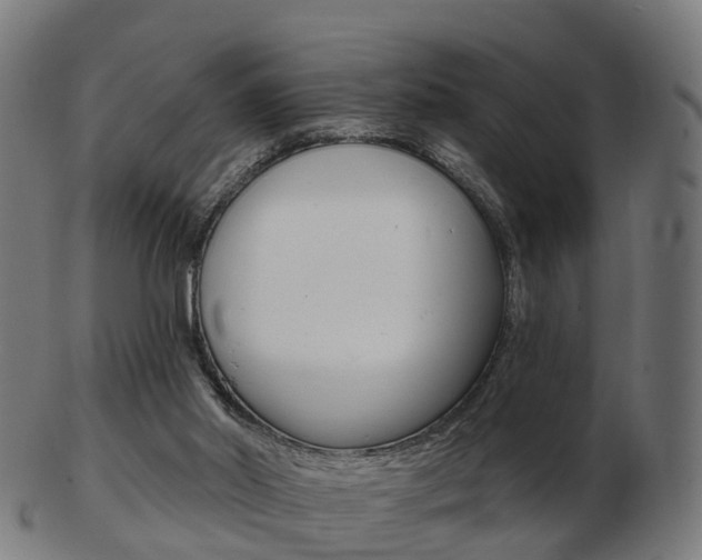 X0000103490014200809121000