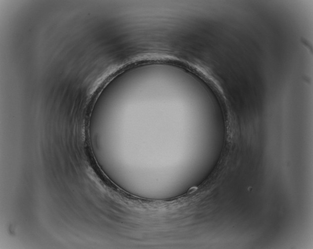 X0000103490015200809121000