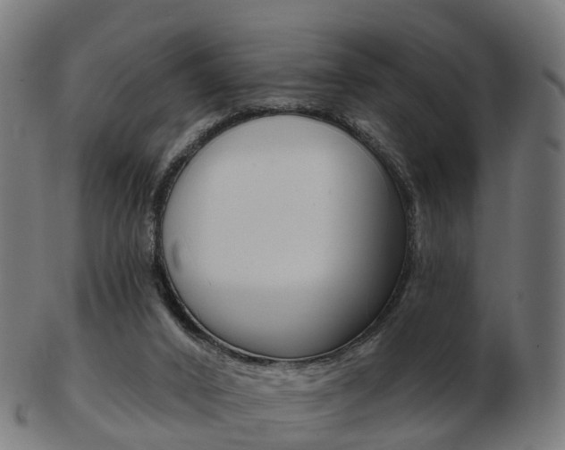 X0000103490016200809121000