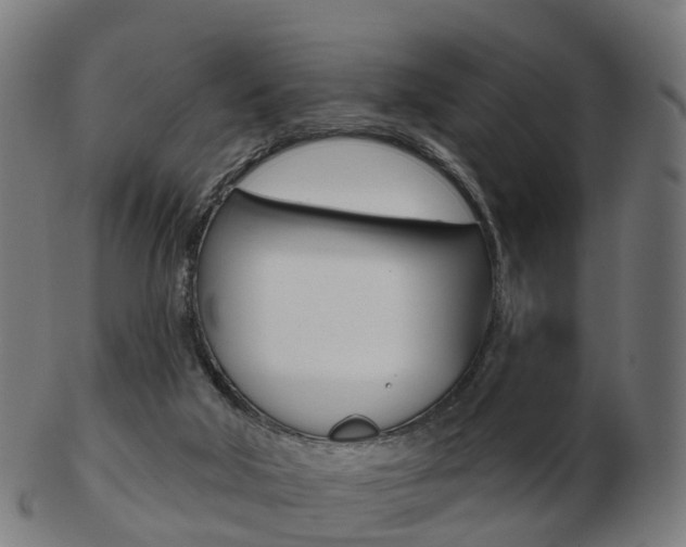 X0000103490018200809121000