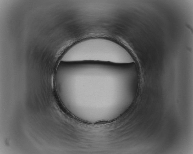 X0000103490019200809121000