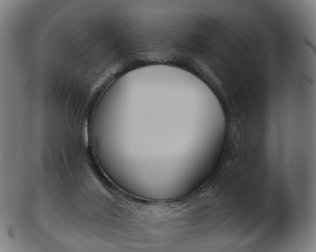 X0000103490020200809121000