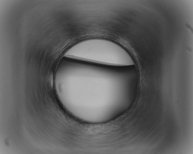 X0000103490021200809121000