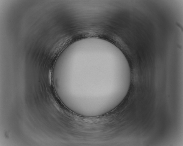 X0000103490022200809121000