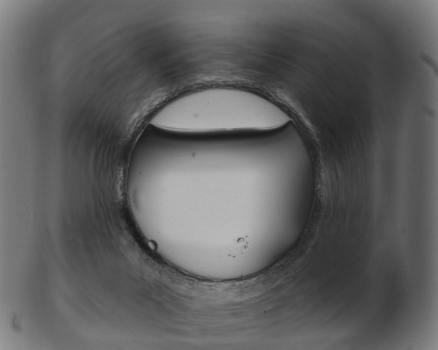 X0000103490023200809121000