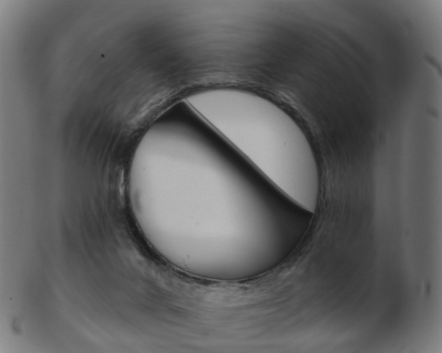 X0000103490024200809121000