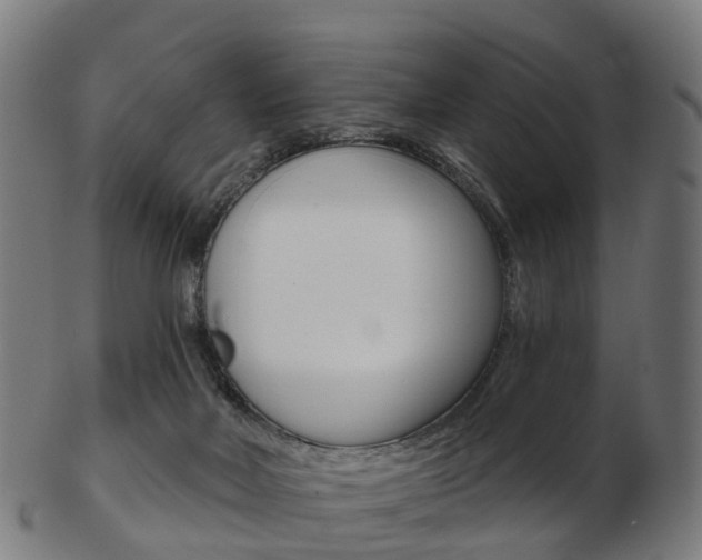 X0000103490026200809121000