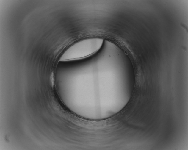 X0000103490027200809121000