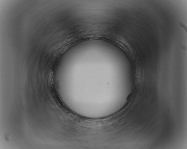 X0000103490029200809121000