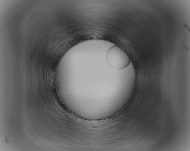 X0000103490030200809121000