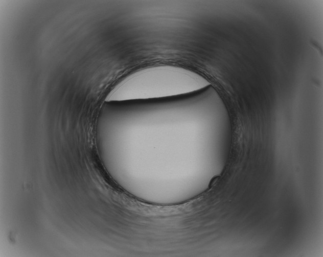 X0000103490031200809121000