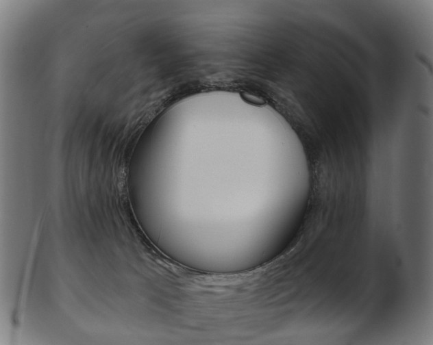 X0000103490033200809121000