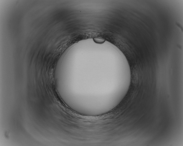 X0000103490034200809121000