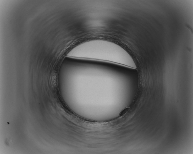 X0000103490036200809121000