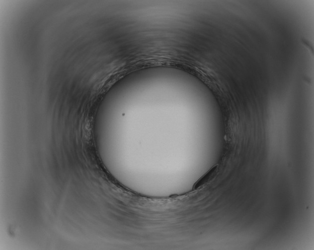 X0000103490037200809121000